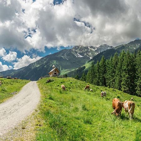 Holiday Village Wildschoenau, Wildschoenau-ニーデラウ エクステリア 写真